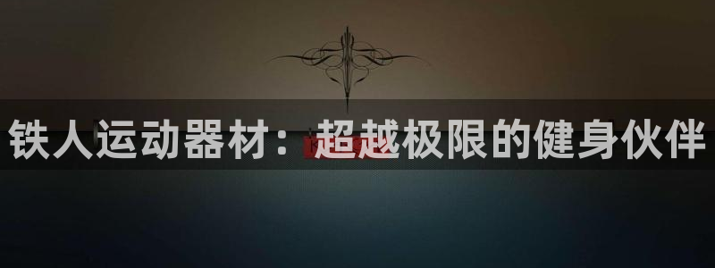 九游体育官网下载平台是正规平台吗知乎：铁人运动器材：