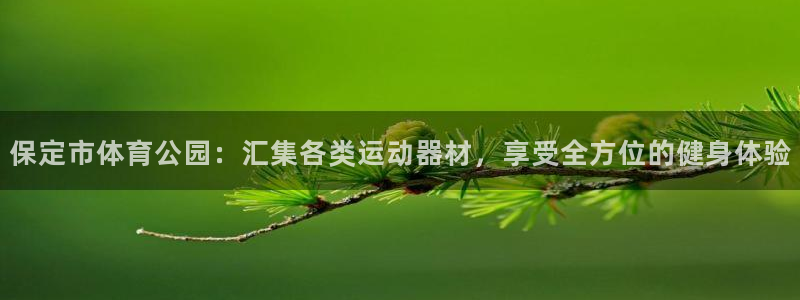 德国九游体育官方正版app集团：保定市体育公园：汇集