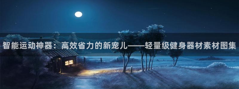 九游体育官方正版app娱乐网站：智能运动神器：高效省力的新宠