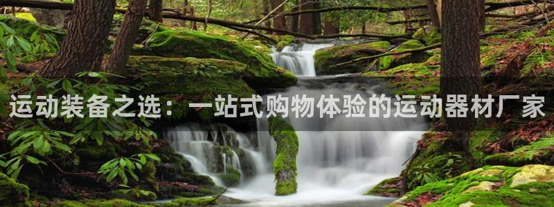 九游体育官网下载娱乐：运动装备之选：一站式购物体验的运动器材