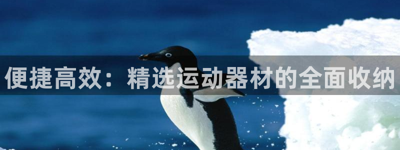 九游体育官方正版app官方：便捷高效：精选运动器材的全面收纳