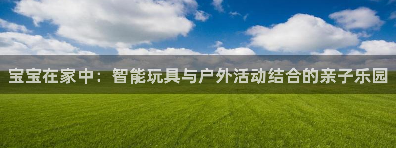九游体育官方正版app集团：宝宝在家中：智能玩具与户