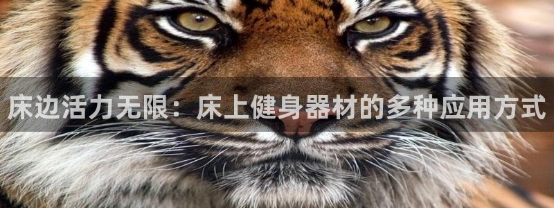 九游体育官网下载平台是正规平台吗安全吗：床边活力无限：床上健