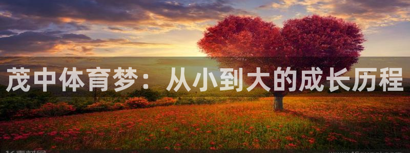 谈球吧体育官网