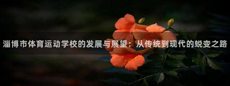 谈球吧体育官网：淄博市体育运动学校的发展与展望：从传统到现代的蜕变之路