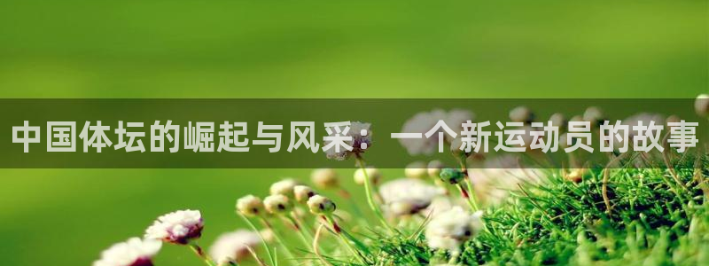 谈球吧
