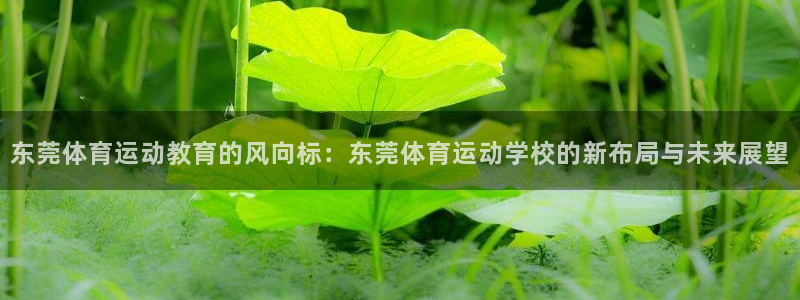 谈球吧体育：东莞体育运动教育的风向标：东莞体育运动学校的新布局与未来展望
