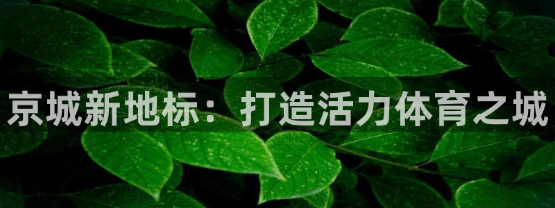 谈球吧体育官网