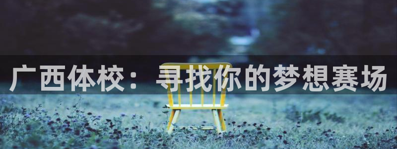 谈球吧体育官网