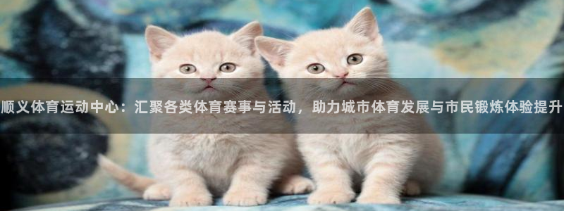 谈球吧体育官网：顺义体育运动中心：汇聚各类体育赛事与活动，助力城市体育发展与市民锻炼体验提升