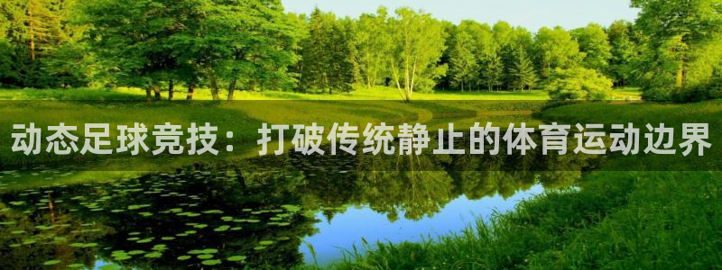 谈球吧体育：动态足球竞技：打破传统静止的体育运动边界